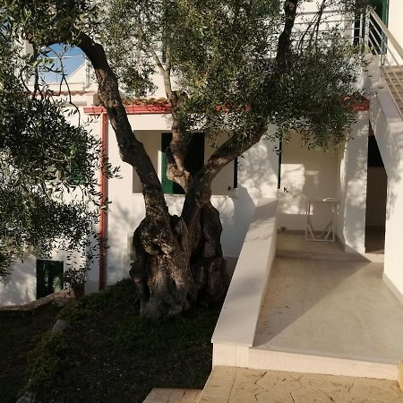 Villa Elisa Vieste Eksteriør bilde