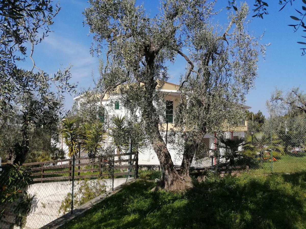 Villa Elisa Vieste Eksteriør bilde