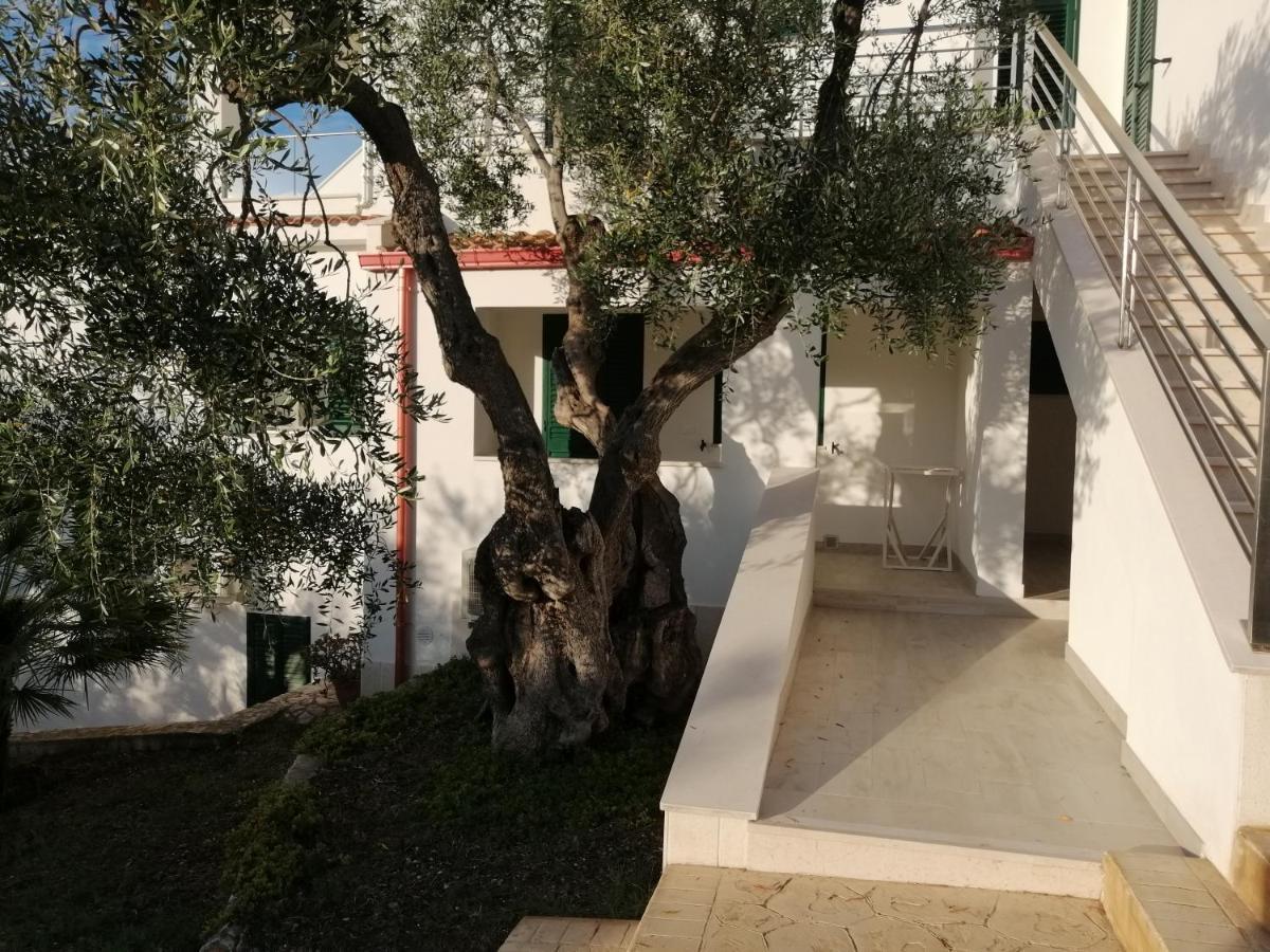 Villa Elisa Vieste Eksteriør bilde